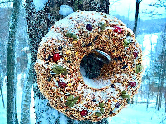 The Original Birdseed Wreath (Large!)